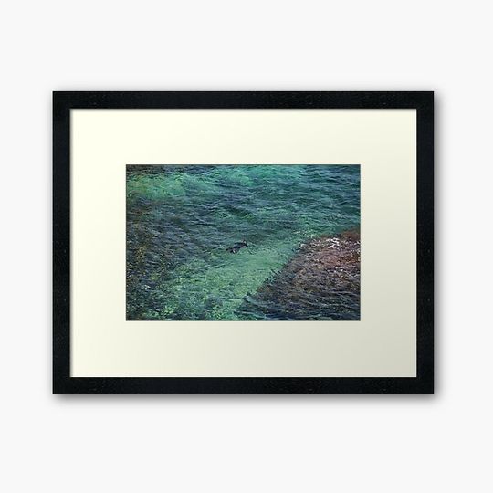 Discover snorkelling view from above