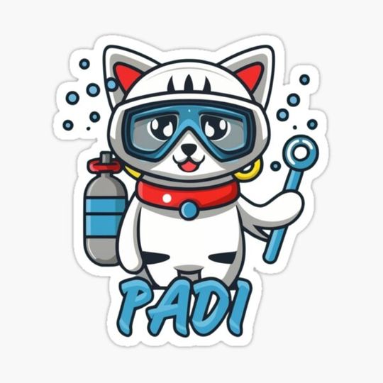 Discover Drive master cat PADI collection 3