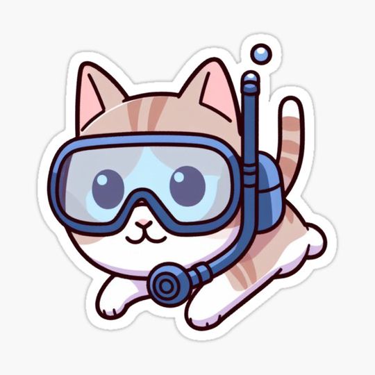 Discover Cat Snorkeling