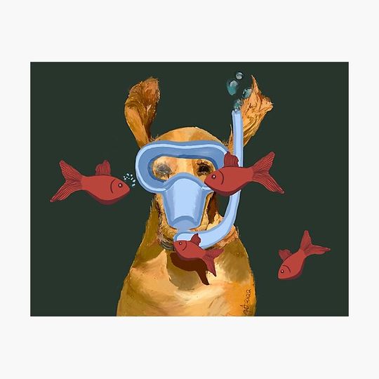 Discover Doggy Diver