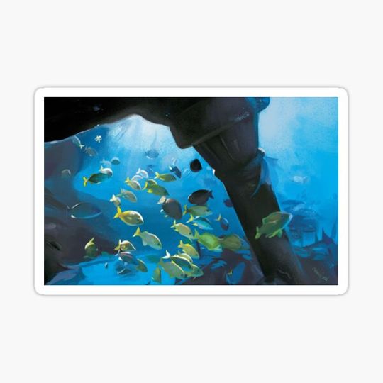 Discover Ocean