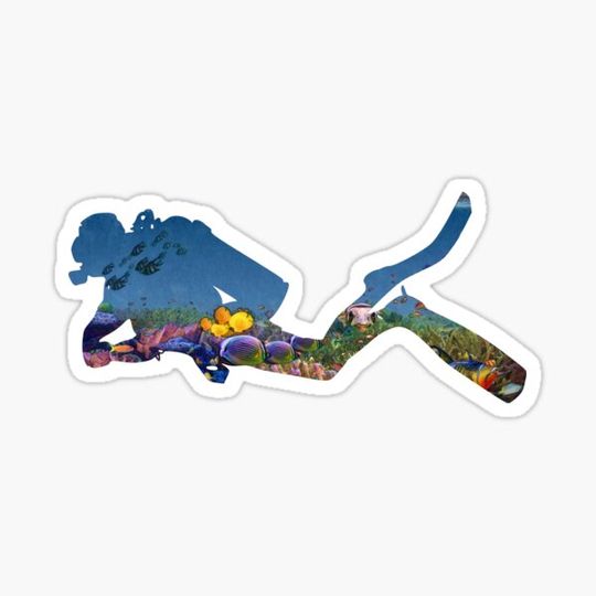 Discover Reef Dive