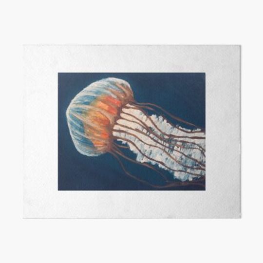 Discover Jellyfish