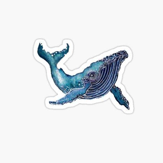 Discover Smiling Whale