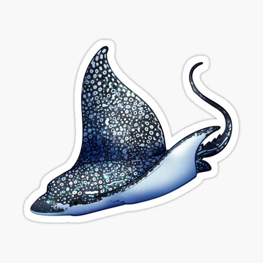 Discover Cozy Spotted Eagle Ray