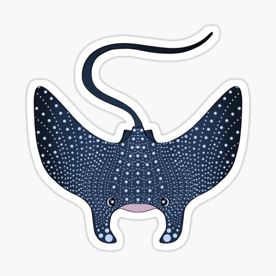 Discover Eagle Ray
