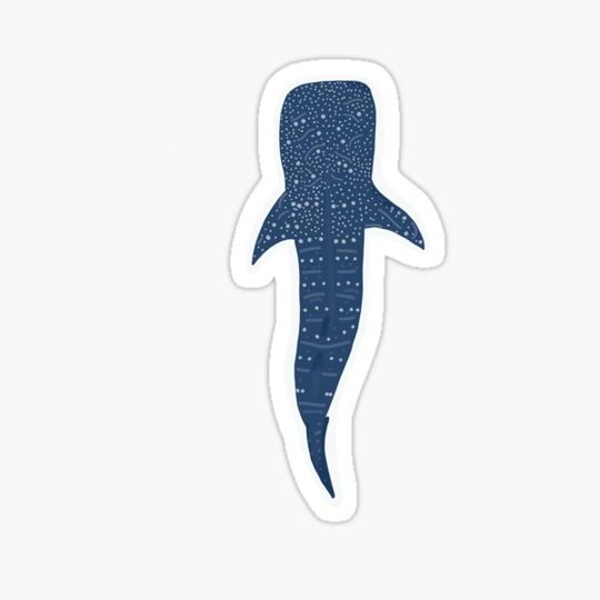 Discover whale shark