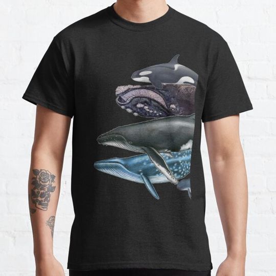 Discover Whale Song