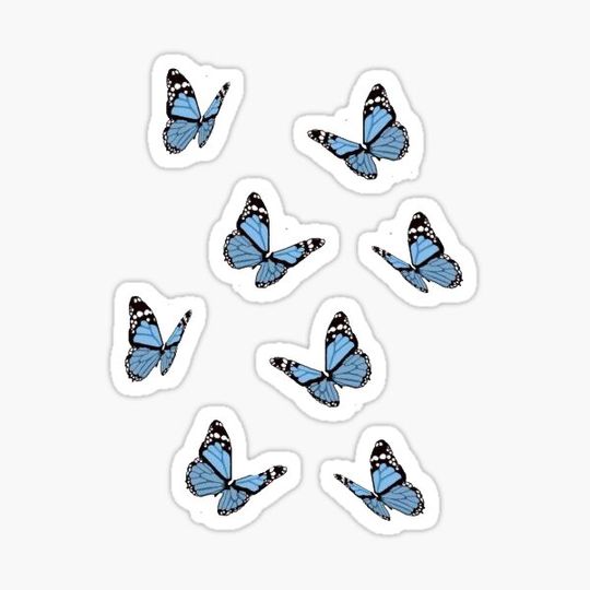 Discover Blue Butterfly Pack