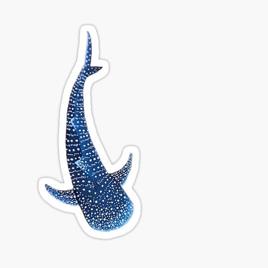 Discover Whale Shark 	 1