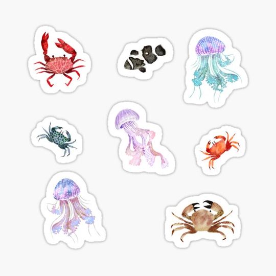 Discover Jellyfish and Crab Marine Life