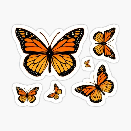 Discover Monarch Butterfly Rapsody