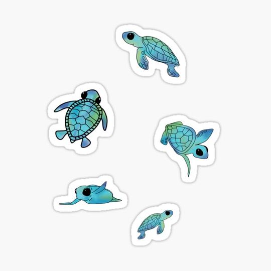 Discover Baby Sea Turtle Minis