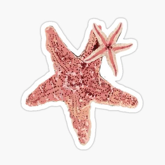 Discover Starfish