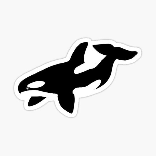 Discover Orca