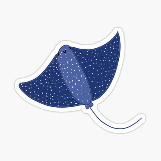 Discover Stingray