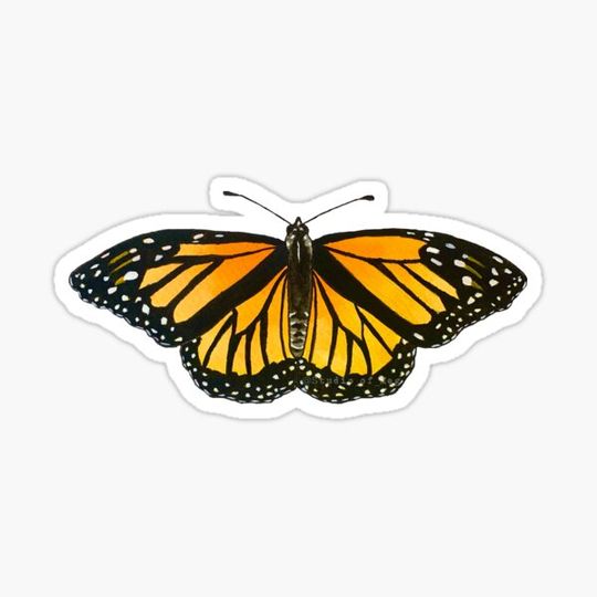 Discover Monarch