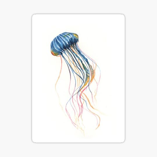 Discover Coastal Blue Watercolor Jellyfish