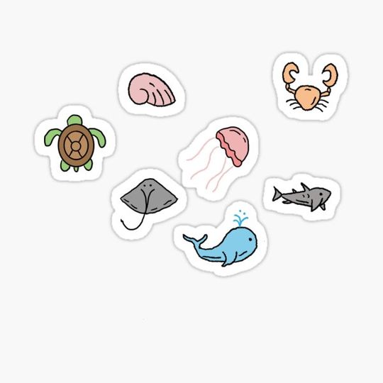 Discover ocean life sticker set