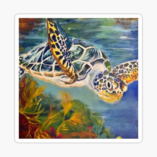 Discover Colorful sea turtle