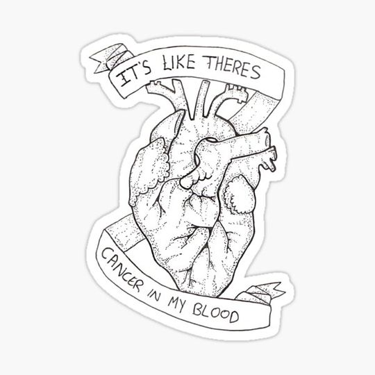 Discover Amity Affliction Lyrics