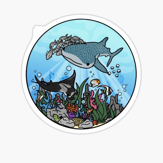 Discover Under the Sea