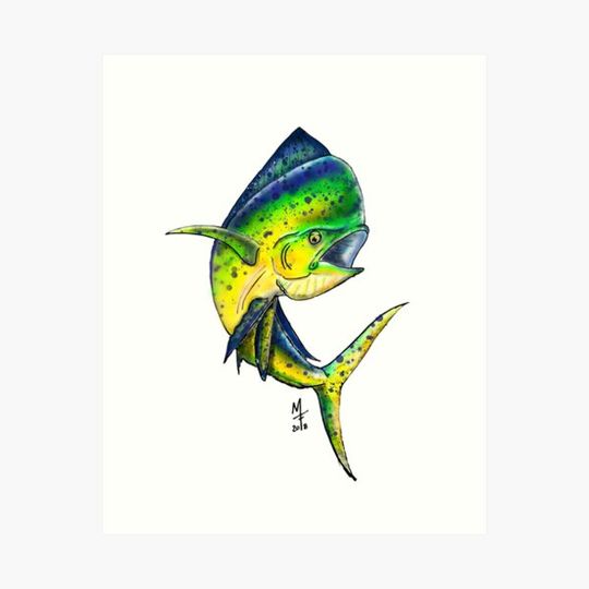 Discover Mahi Mahi - Dorado
