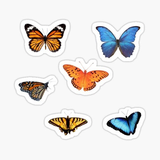 Discover Butterfly sticker pack