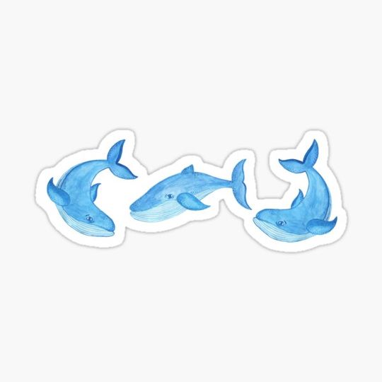 Discover Cute Blue Whale Pattern