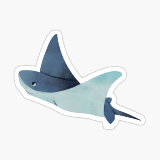 Discover sting ray
