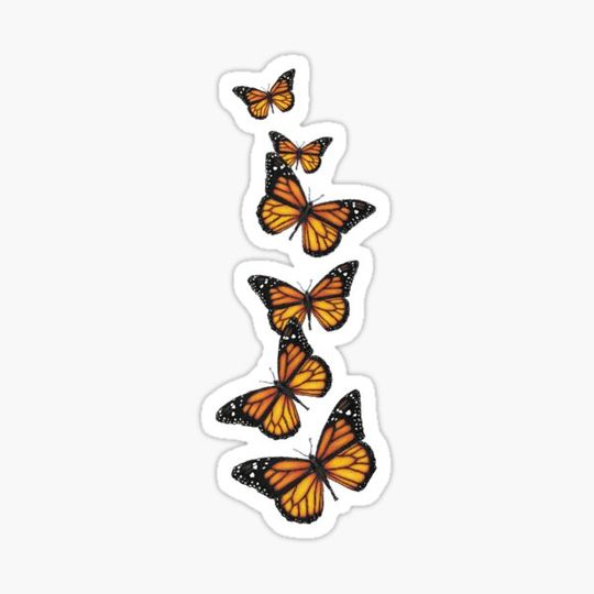 Discover Line of Butterflies