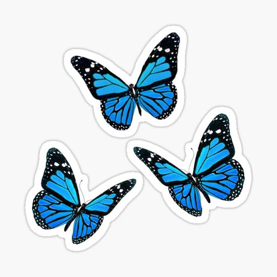 Discover Blue monarch butterfly pack