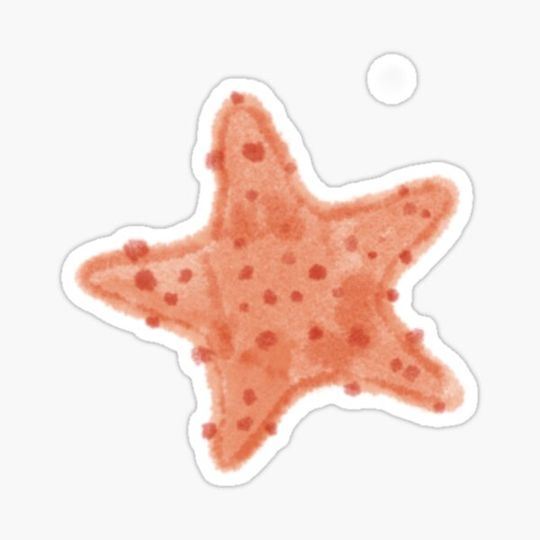 Discover Starfish