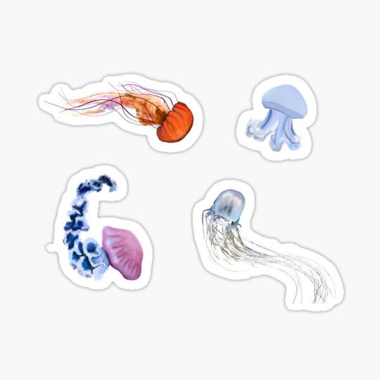 Discover Jellyfish collection