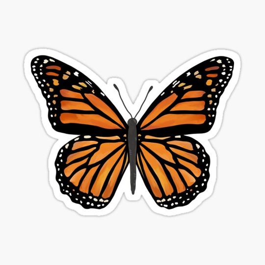 Discover Orange Butterfly
