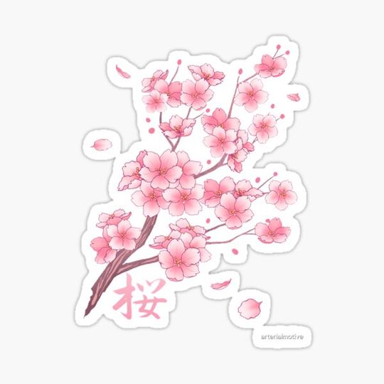 Discover Falling Sakura Cherry Blossom