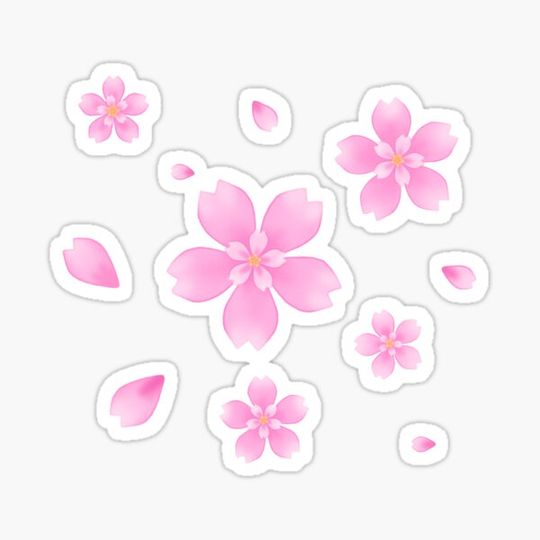 Discover Sakura
