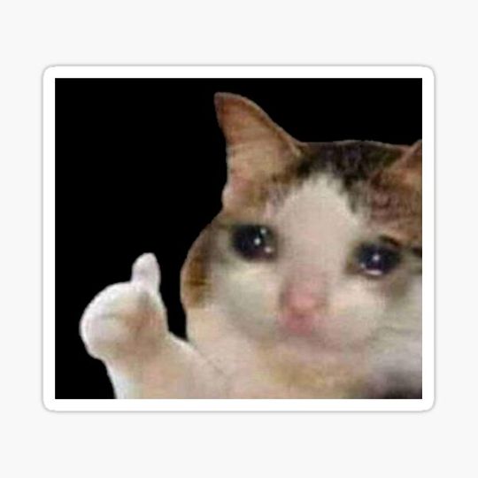Discover Crying Cat Thumbs Up Meme