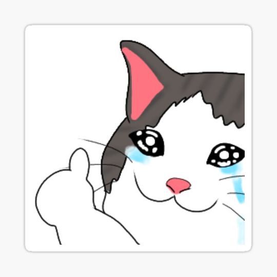 Discover Cat cry