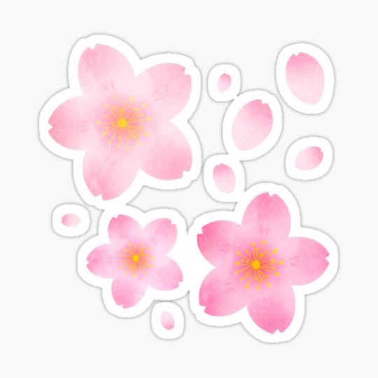 Discover cute kawaii pink sakura flower