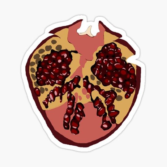 Discover Twilight Midnight Sun Pomegranate