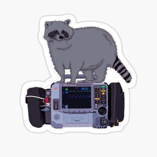 Discover Raccoon Responder
