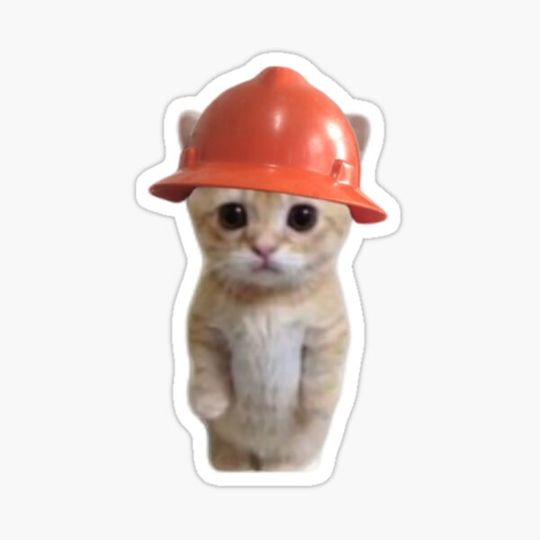 Discover Tiny tony