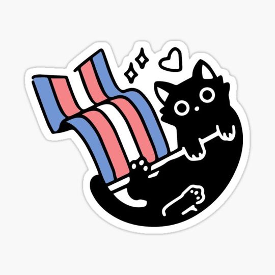 Discover Trans Cat
