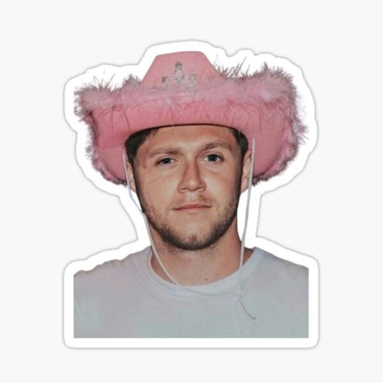 Discover Niall Horan Pink Cowboy Hat