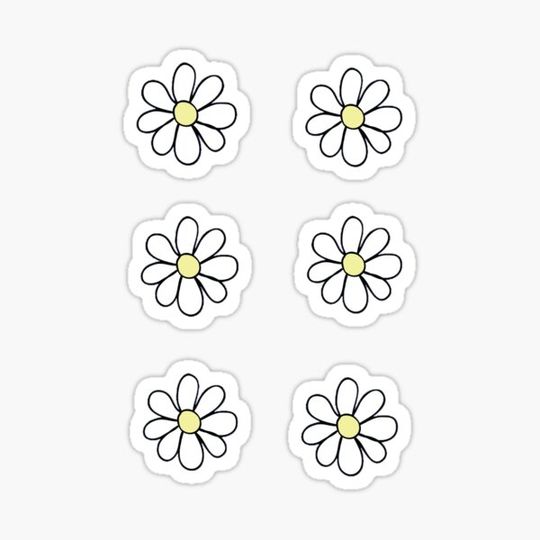 Discover Six Daisies