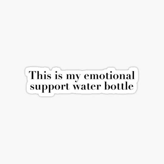 Discover This is my emotional support water bottle