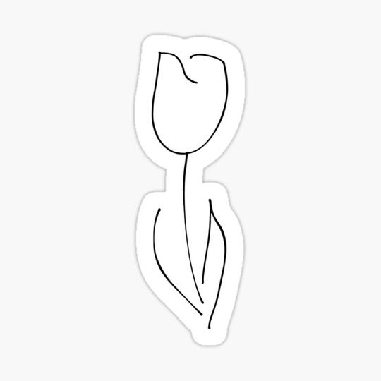 Discover White Tulip