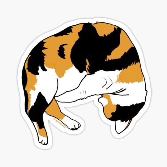 Discover Calico Friend