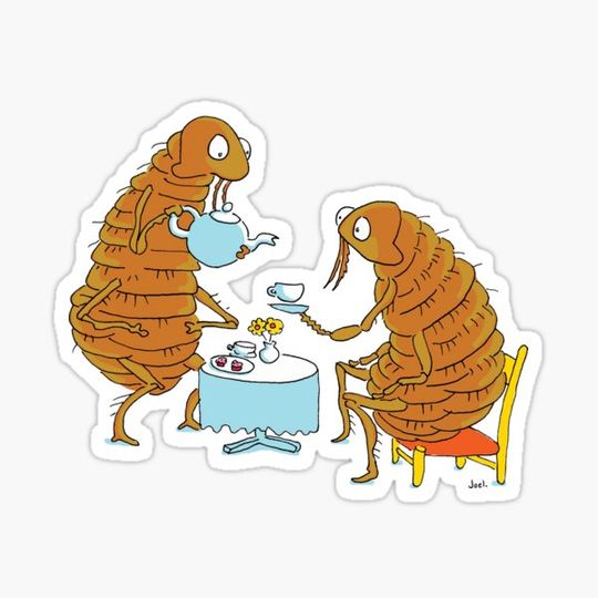 Discover Flea having a cup tea